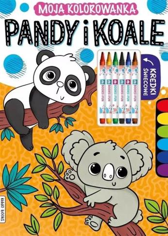 PANDY I KOALE