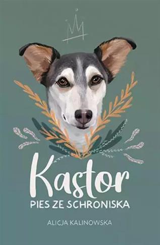 KASTOR. PIES ZE SCHRONISKA