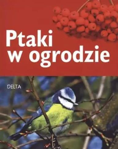 PTAKI W OGRODZIE