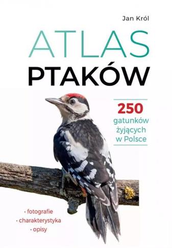 ATLAS PTAKÓW. 250 GATUNKÓW ŻYJĄCYCH W POLSCE
