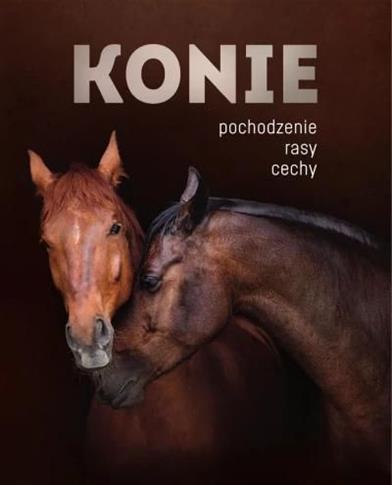 Konie pochodzenie rasy cechy