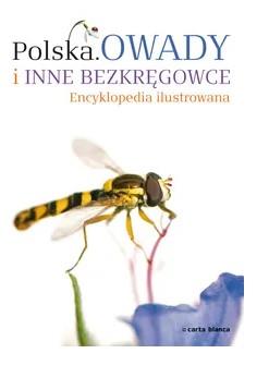 Polska Owady i inne bezkręgowce Encyklopedia...