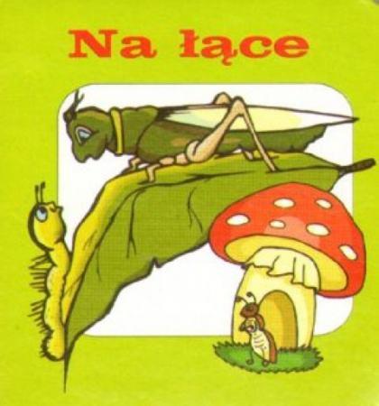 Na łące. Mini-kostka