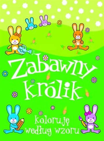 ZABAWNY KROLIK