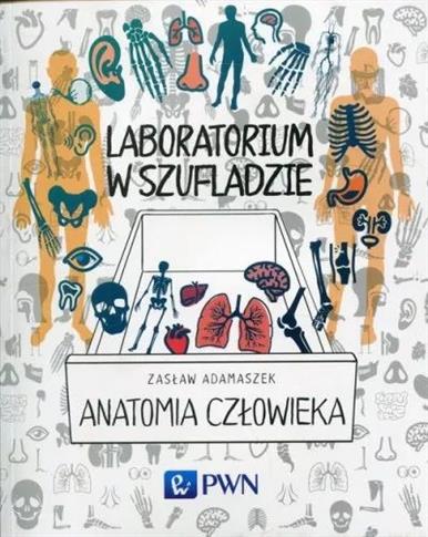 Laboratorium w szufladzie. Anatomia cowieka