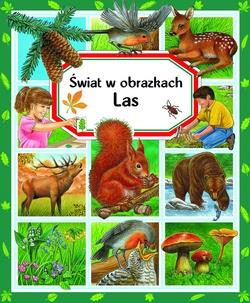 LAS. ŚWIAT W OBRAZKACH