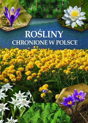 ROŚLINY CHRONIONE W POLSCE