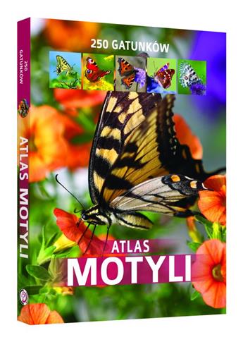 ATLAS MOTYLI