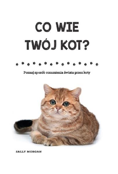 CO WIE TWÓJ KOT? POZNAJ SPOSÓB ROZUMIENIA ŚWIATA P