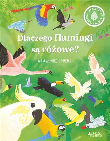 Dlaczego flamingi są różowe? Wiem wszystko o ptaka
