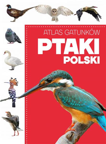 Atlas gatunków. Ptaki Polski-48222