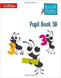 PUPIL BOOK 3B