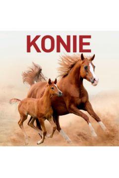 Konie