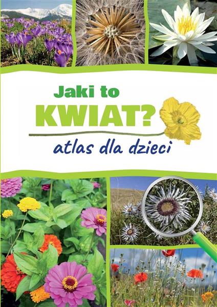 JAKI TO KWIAT