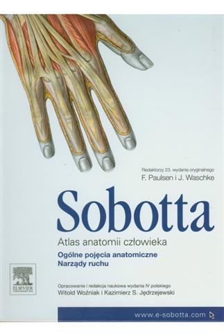 Ogólne pojęcia anatomiczne. Narządy ruchu.