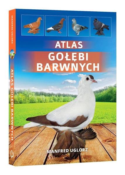 ATLAS GOŁĘBI BARWNYCH